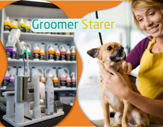 Sprzęt dla początkującego groomera – 5 niezbędnych produktów na start