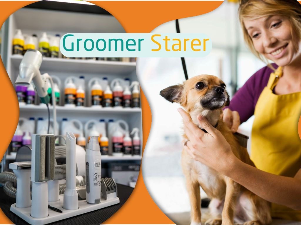 Sprzęt dla początkującego groomera – 5 niezbędnych produktów na start