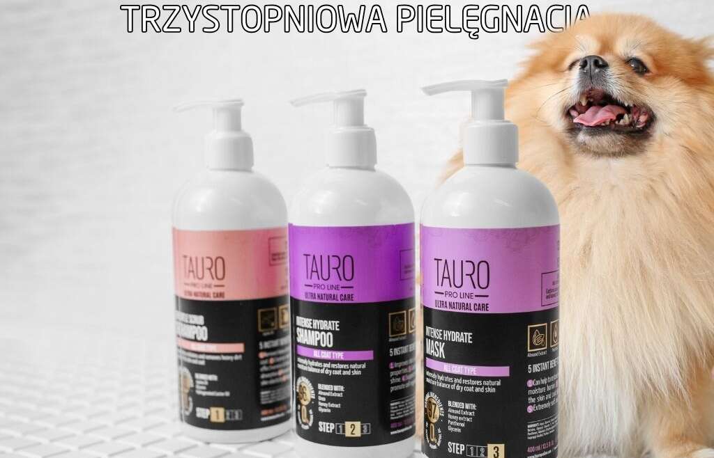 Trzystopniowa pielęgnacja psa z Tauro Pro Line – sprawdzony system krok po kroku