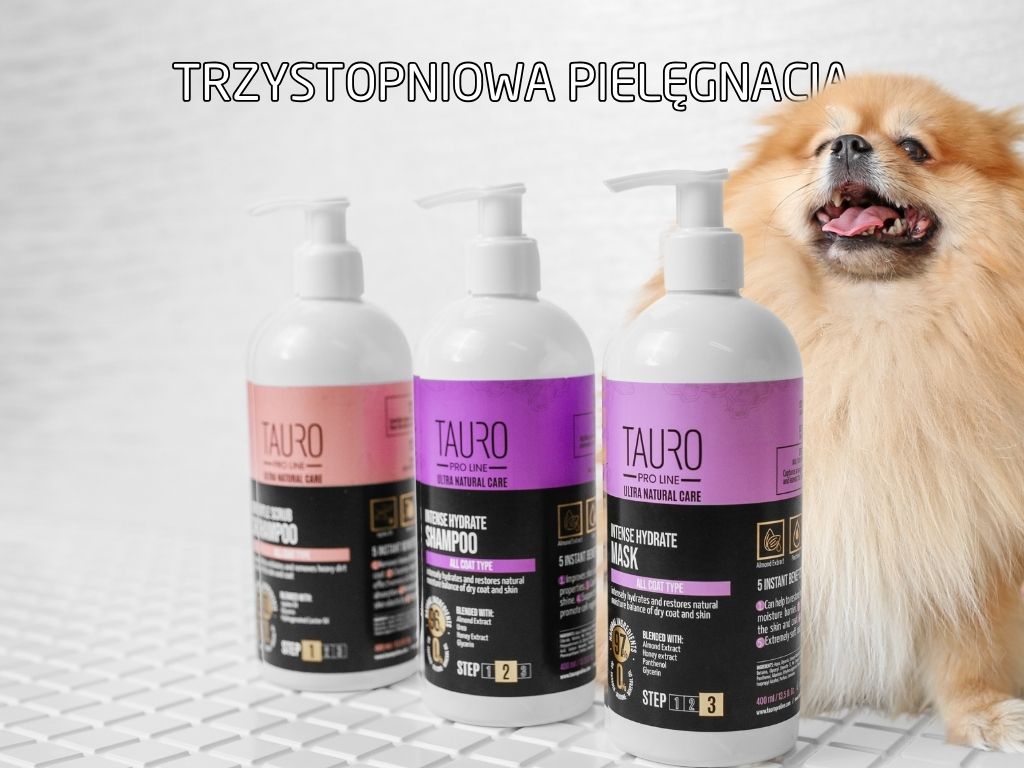 Trzystopniowa pielęgnacja psa z Tauro Pro Line – sprawdzony system krok po kroku