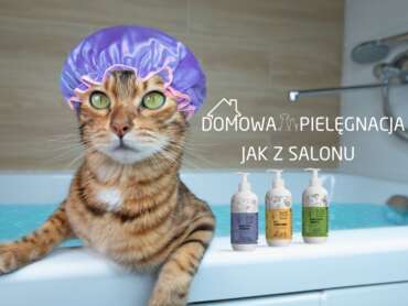 Domowa pielęgnacja psa i kota z linią Tauro Pro Line Pure Nature – naturalne efekty jak z salonu