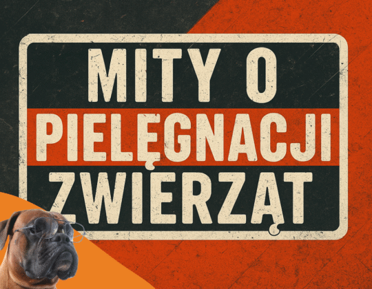 Mity o pielęgnacji zwierząt – obalamy najczęstsze nieprawdziwe teorie!