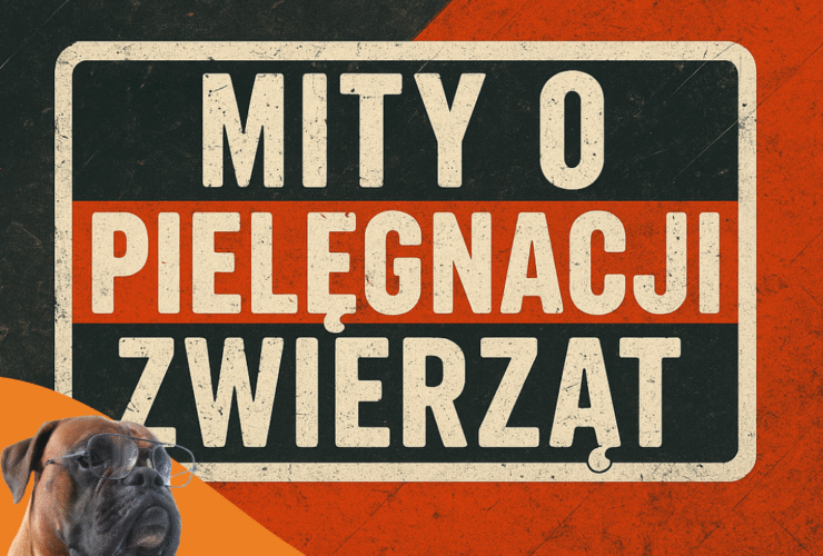 Mity o pielęgnacji zwierząt – obalamy najczęstsze nieprawdziwe teorie!