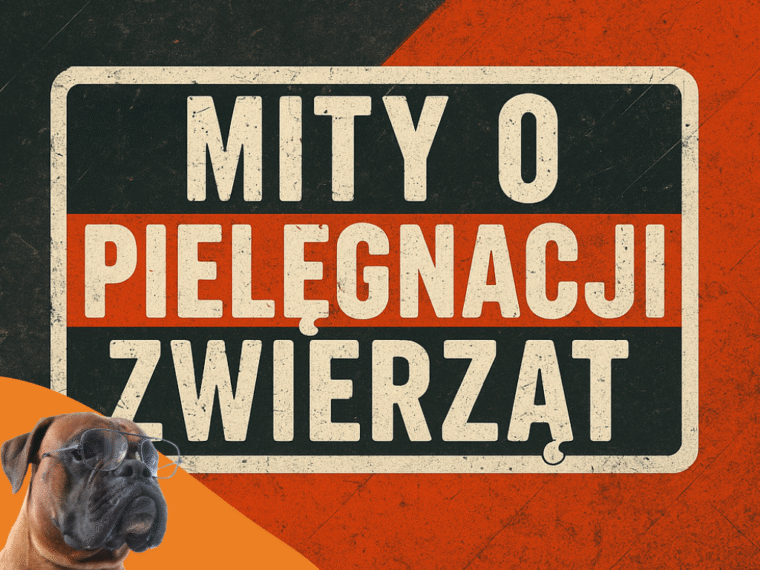 Mity o pielęgnacji zwierząt – obalamy najczęstsze nieprawdziwe teorie!