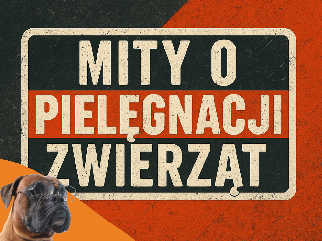 Mity o pielęgnacji zwierząt – obalamy najczęstsze nieprawdziwe teorie!