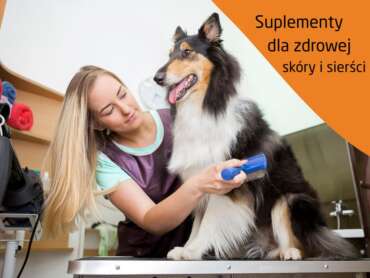 Jakie suplementy wybrać dla zdrowej skóry i sierści psa i kota?