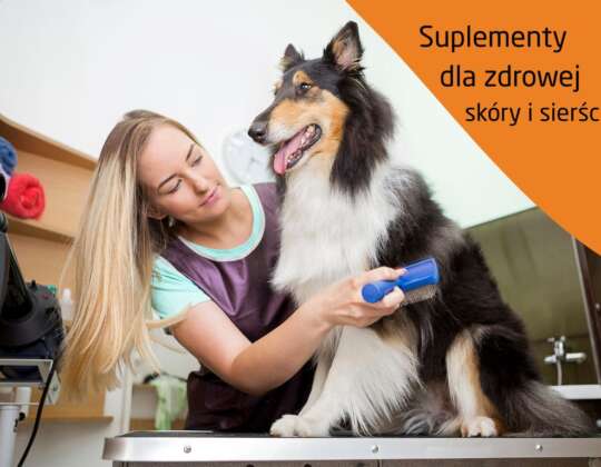 Jakie suplementy wybrać dla zdrowej skóry i sierści psa i kota?