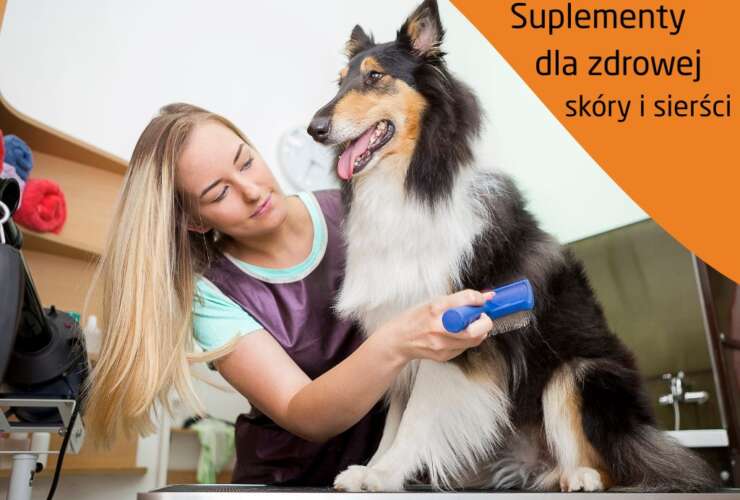 Jakie suplementy wybrać dla zdrowej skóry i sierści psa i kota?
