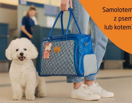 Transport zwierząt w samolocie – jak przygotować psa lub kota do lotu?