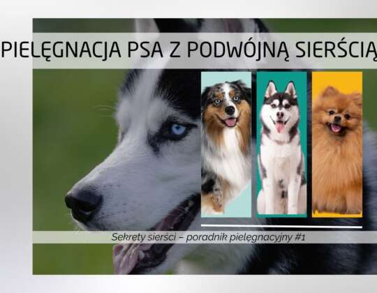 Pielęgnacja psa z podwójną sierścią