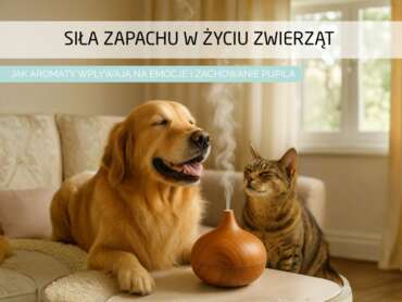 Siła zapachu w domu – jak aromaty wpływają na zwierzęta