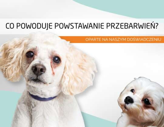 🐾 Co powoduje powstawanie przebarwień? Oparte na naszym doświadczeniu