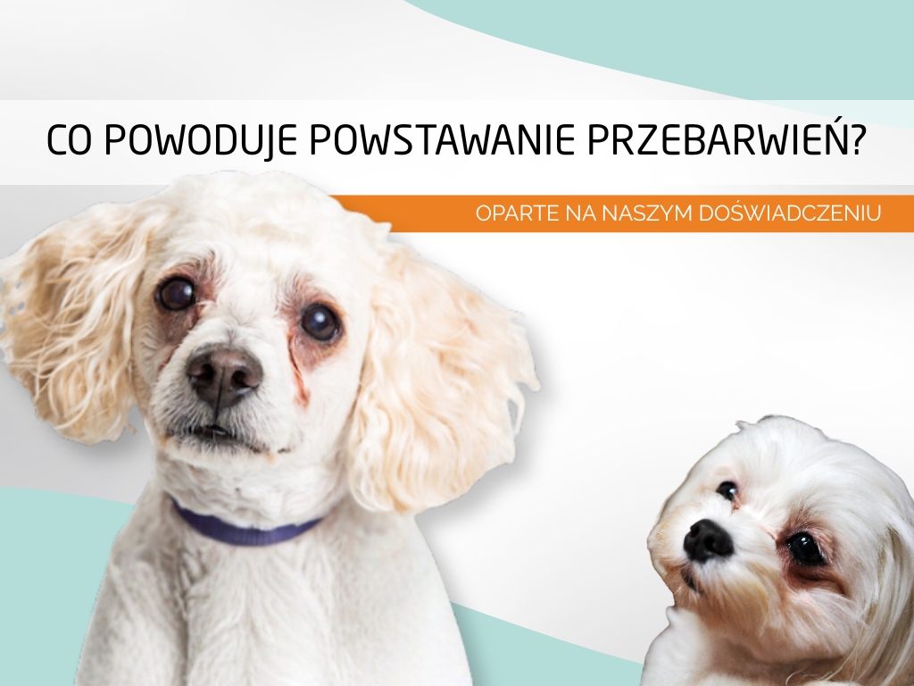 🐾 Co powoduje powstawanie przebarwień? Oparte na naszym doświadczeniu