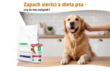 Zapach sierści a dieta psa – czy to ma związek?