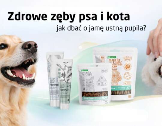 Zdrowe zęby psa i kota – jak dbać o jamę ustną pupila?