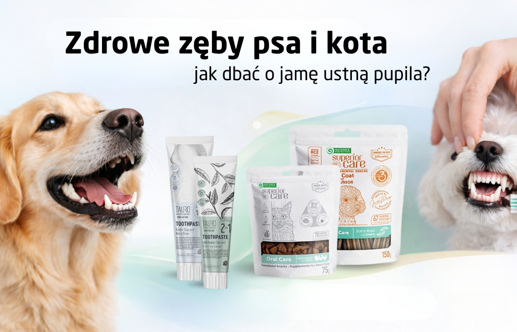 Zdrowe zęby psa i kota – jak dbać o jamę ustną pupila?