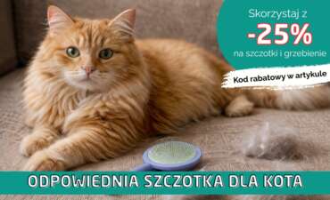 🐱 Linienie kota – jak zapobiegać kulom włosowym