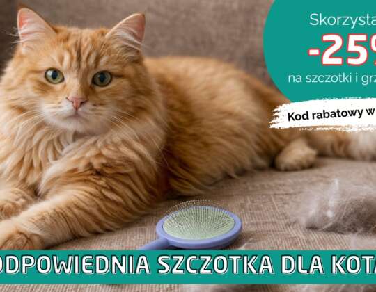 🐱 Linienie kota – jak zapobiegać kulom włosowym