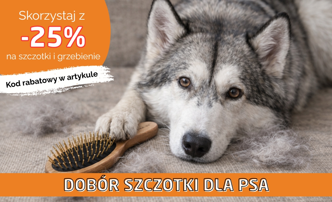 🐶 Linienie psa – jak dobrać szczotkę i ograniczyć sierść?