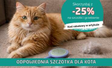 🐱 Linienie kota – jak zapobiegać kulom włosowym