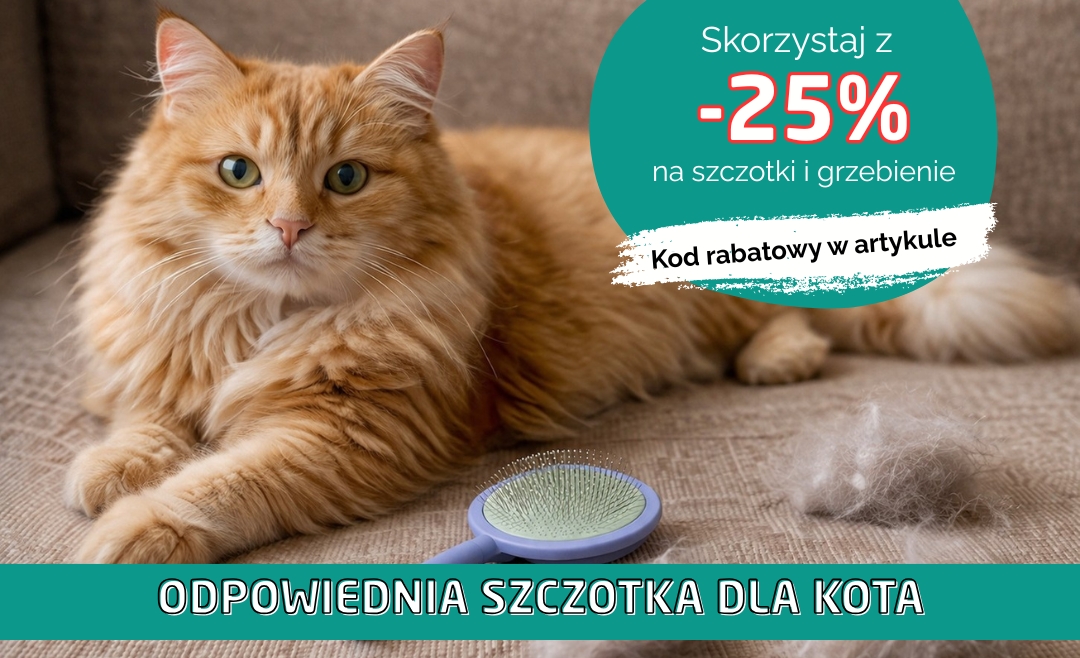 🐱 Linienie kota – jak zapobiegać kulom włosowym