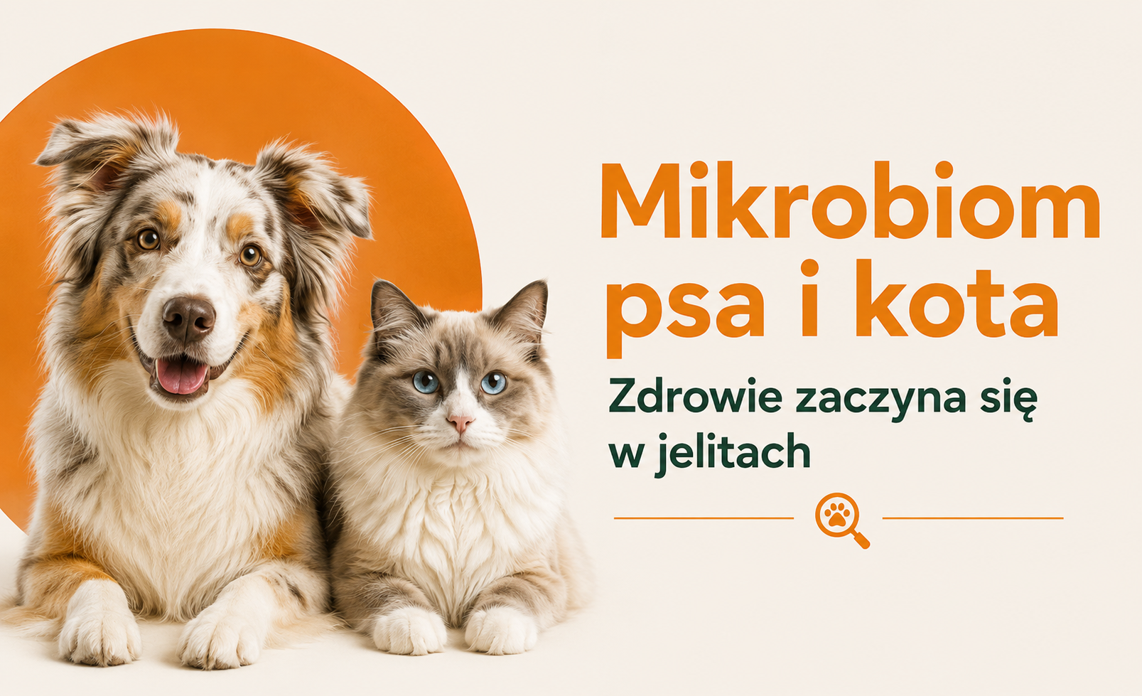 Mikrobiom psa i kota – dlaczego zdrowe jelita są tak ważne?